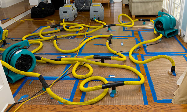Professional Structural Drying And Dehumidification technician working in Cusick, WA